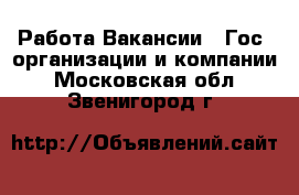 Работа Вакансии - Гос. организации и компании. Московская обл.,Звенигород г.